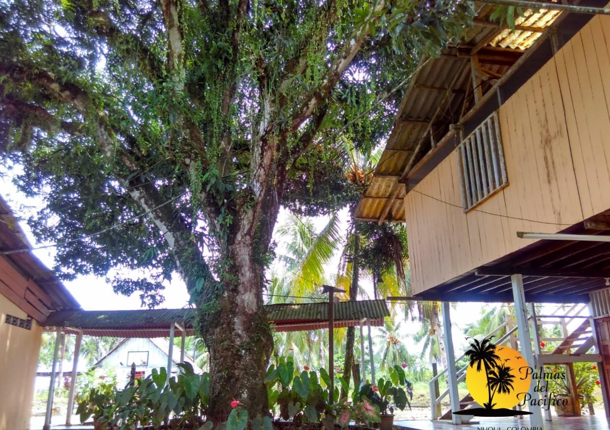 Hotel Palmas del Pacifico Nuquí Exterior foto